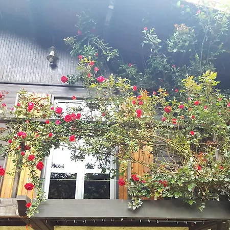 Skymist Bed and breakfast