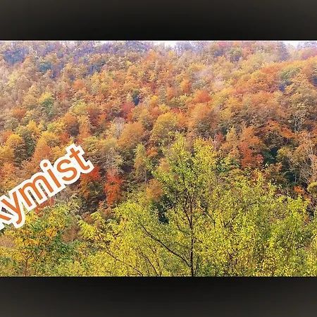 Panzió Skymist Biert