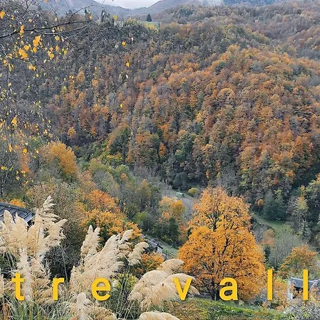 Couette-café Skymist
