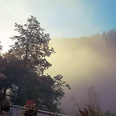 Skymist * Biert