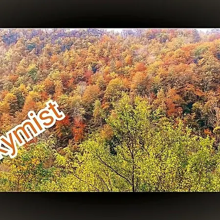 Skymist Alojamento de Acomodação e Pequeno-almoço Biert
