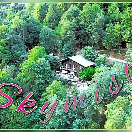 Skymist Biert