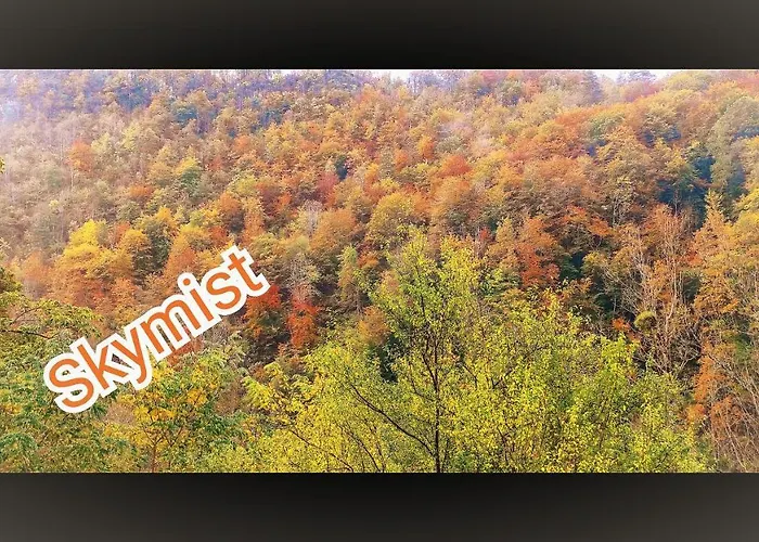 ベッド・アンド・ブレックファスト Skymist Biert