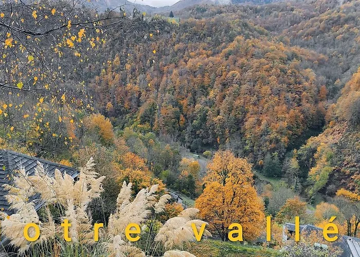 ベッド・アンド・ブレックファスト Skymist