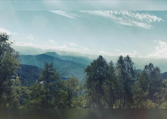 ベッド・アンド・ブレックファスト Skymist *