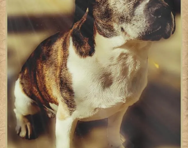 ベッド・アンド・ブレックファスト Skymist Biert