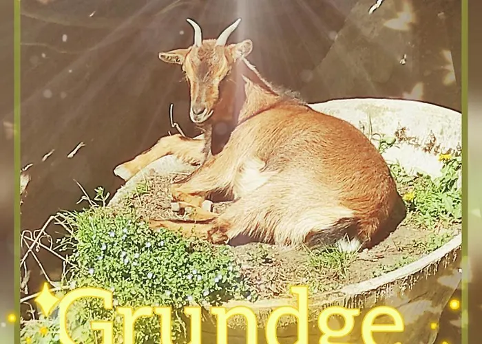 ベッド・アンド・ブレックファスト Skymist Biert