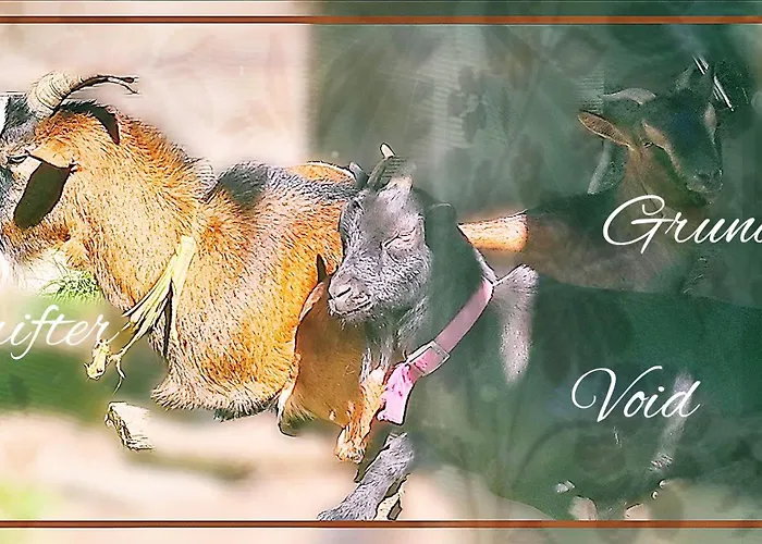 ベッド・アンド・ブレックファスト Skymist